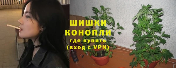 дурь Верея