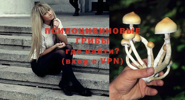 ГАЛЛЮЦИНОГЕННЫЕ ГРИБЫ Верхнеуральск