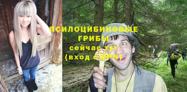 ГАЛЛЮЦИНОГЕННЫЕ ГРИБЫ Верхнеуральск